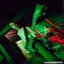 20141005_00-31-45_IMG_3603